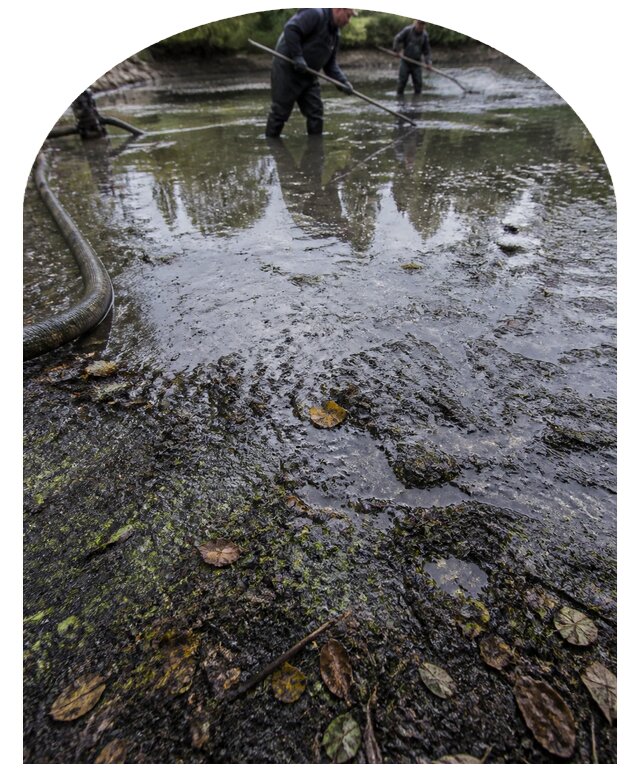 Очистка пруда в Курганинске от ила мусора и водорослей с вывозом